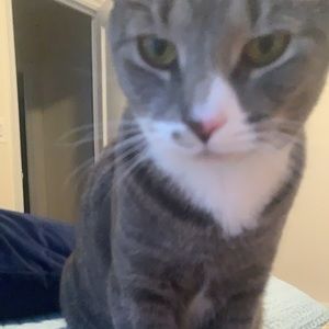 Meet your Posher, Eliz